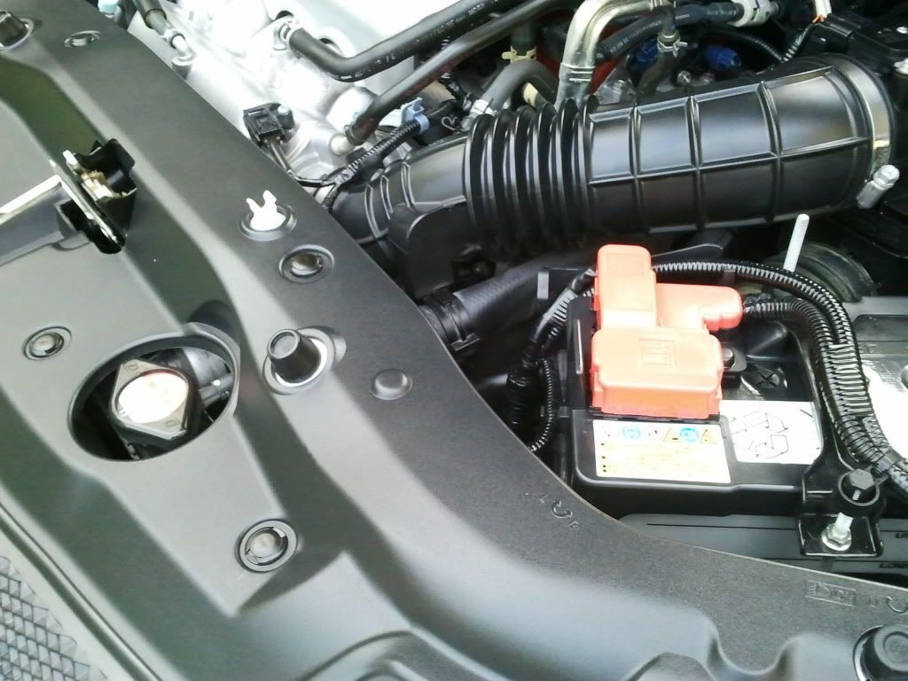 Engine bay tidy up Detailing World Forum